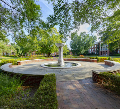 Gallery - Outdoor Spaces Photo 8