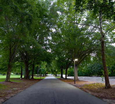 Gallery - Outdoor Spaces Photo 12