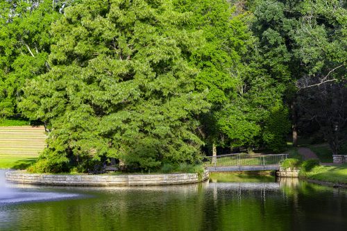 Gallery - Outdoor Spaces Photo 5