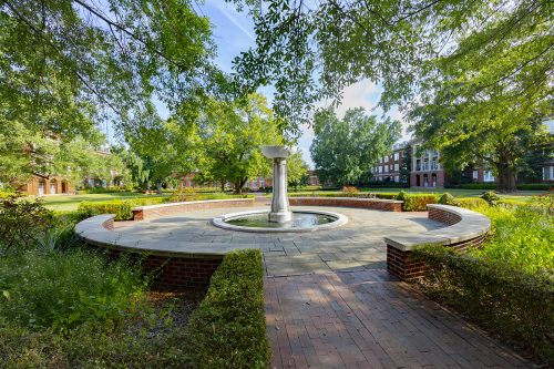 Gallery - Outdoor Spaces Photo 8