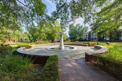 Gallery - Outdoor Spaces Photo 8