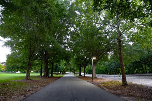 Gallery - Outdoor Spaces Photo 12