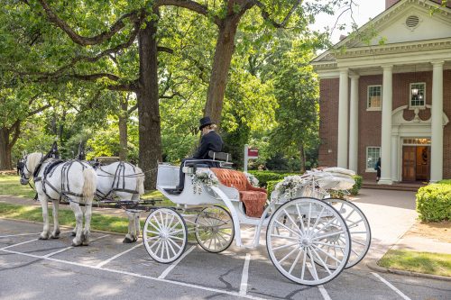 Gallery - Jones Chapel Photo 10